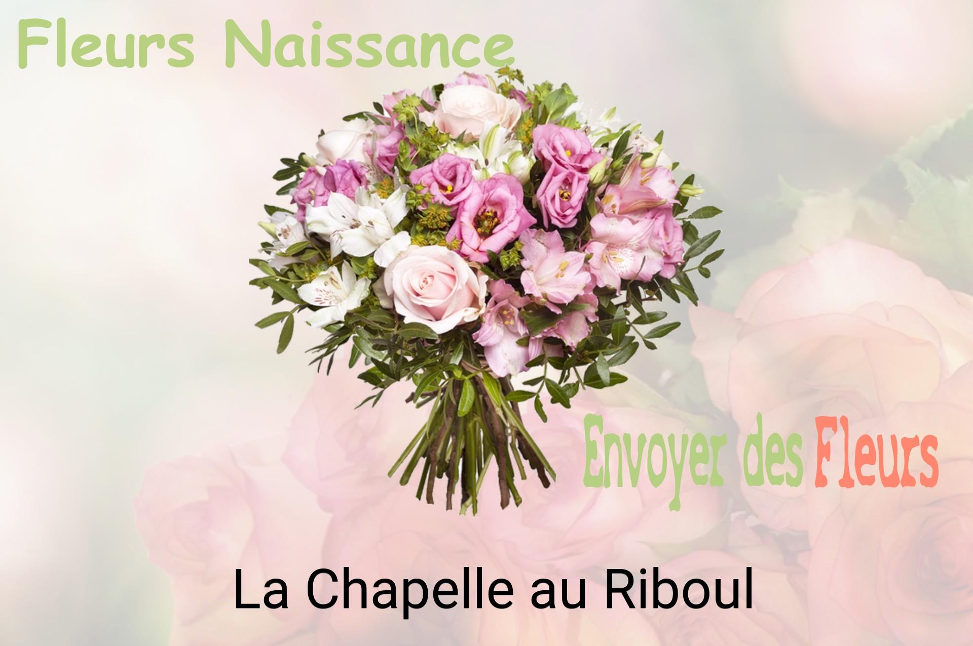 Bouquet de fleurs de naissance livré à La Chapelle-au-Riboul