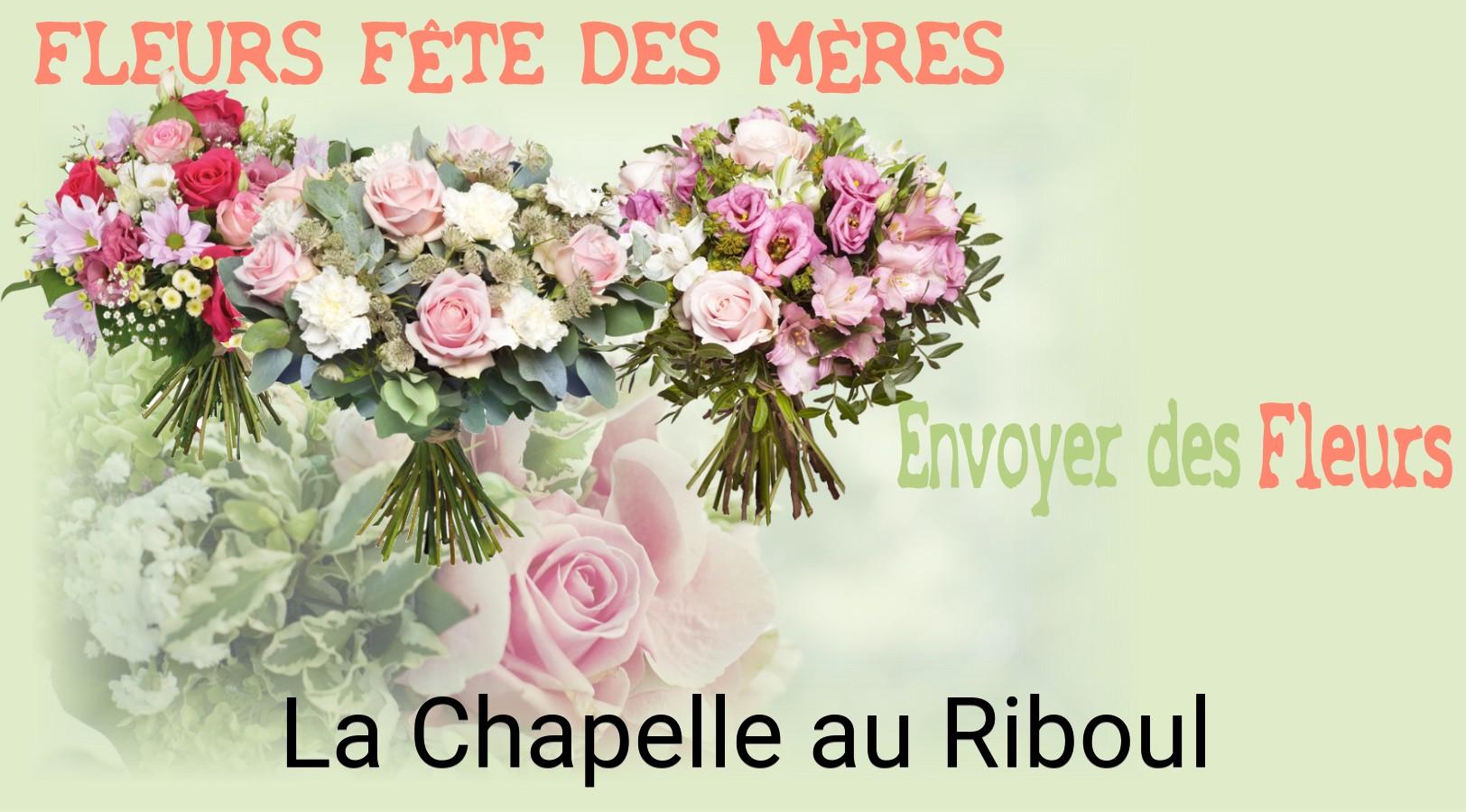 Bouquet de Fête des Mères livré à La Chapelle-au-Riboul